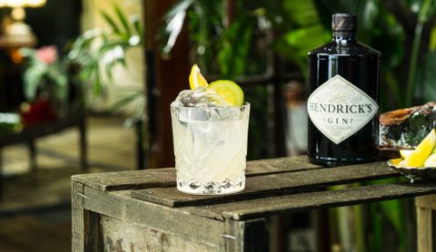 Product shot of Hendrick’s Gin in a tumbler